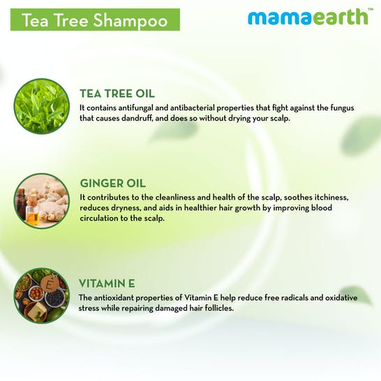 Mamaearth Tea Tree Anti Dandruff Shampoo For Dandruff Free Hair Mamaearth Tea Tree Anti Dandruff Shampoo For Dandruff Free Hair