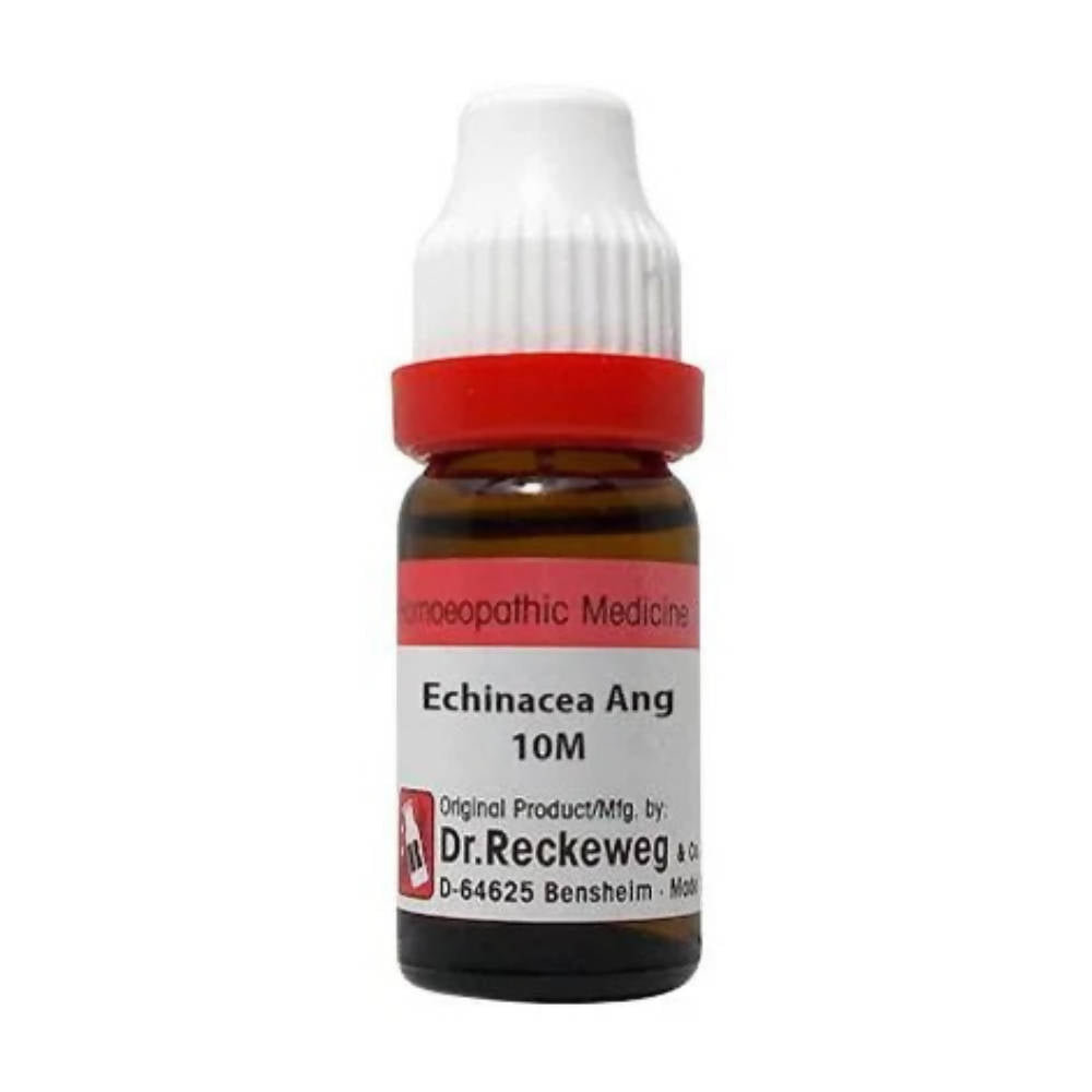 Dr. Reckeweg Echinacea Ang Dilution - Safuron Naturals Dr. Reckeweg Echinacea Ang Dilution - Safuron Naturals