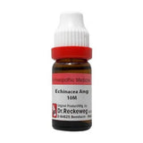 Dr. Reckeweg Echinacea Ang Dilution - Safuron Naturals
