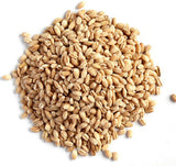 Hebsur Herbals Barley Seeds Hebsur Herbals
