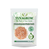 Yuvagrow Himalayan Pink Salt Yuvagrow