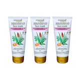 Patanjali Saundarya Face Wash - safuroncart