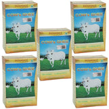 Patanjali Cow's Ghee | Desi Ghee, Aiding Digestion, and Boosting Energy - safuroncart