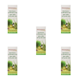 Patanjali Amla Aloevera with Wheat Grass Juice - safuroncart