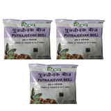 Patanjali Divya Putrajeevak Beej