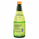 Patanjali Mango Panna Patanjali