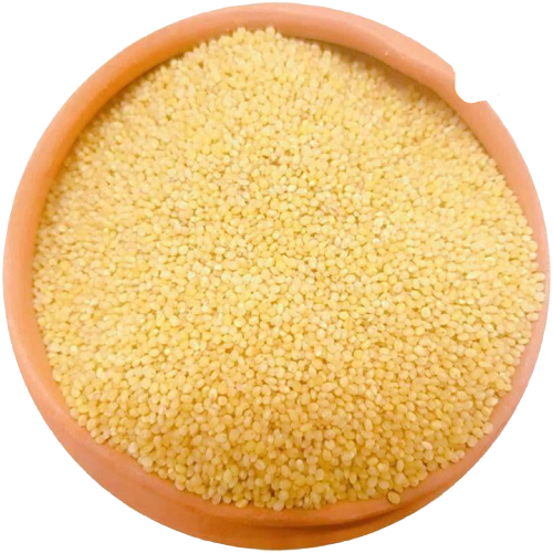 Organic Foxtail Millet Millets