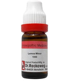 Dr. Reckeweg Lemna Minor Dilution - Safuron Naturals