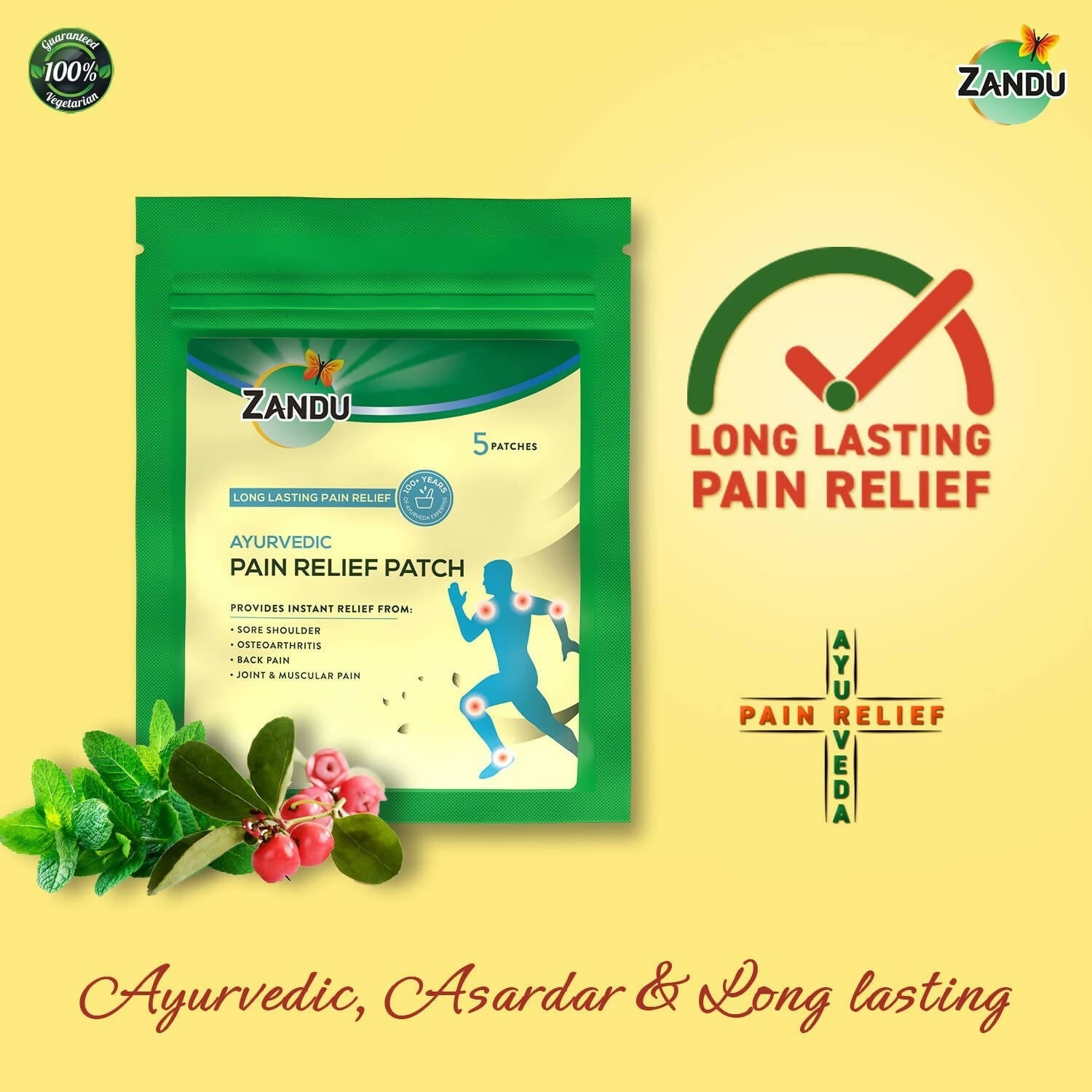 Zandu Ayurvedic Pain Relief Patch Zandu Ayurvedic Pain Relief Patch