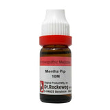 Dr. Reckeweg Mentha Pip Dilution - Safuron Naturals