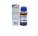 SBL Homeopathy Arnica Montana Mother Tincture Q SBL Pvt. Ltd.