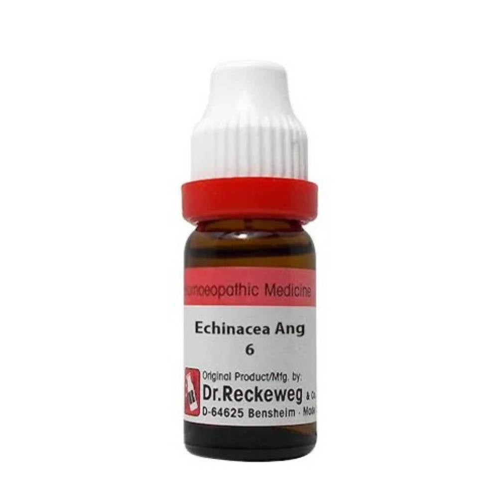 Dr. Reckeweg Echinacea Ang Dilution - Safuron Naturals