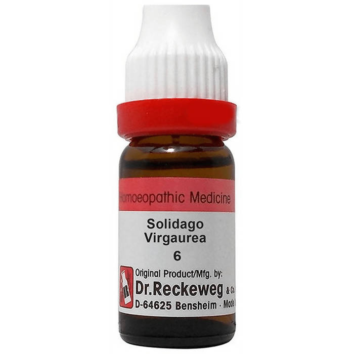 Dr. Reckeweg Solidago Virgaurea Dilution - Safuron Naturals Dr. Reckeweg Solidago Virgaurea Dilution - Safuron Naturals