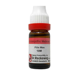 Dr. Reckeweg Filix Mas Dilution - Safuron Naturals