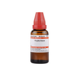 Dr. Willmar Schwabe India Oophorinum Dilution - Safuron Naturals