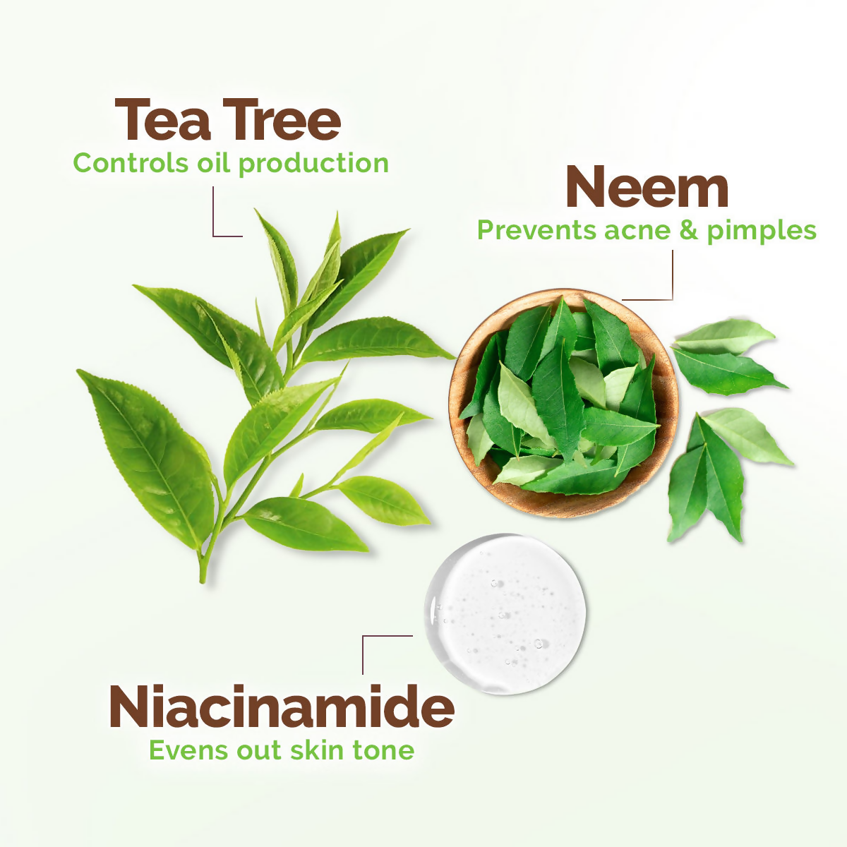 Mamaearth Tea Tree Oil Control Face Wash Mamaearth Tea Tree Oil Control Face Wash