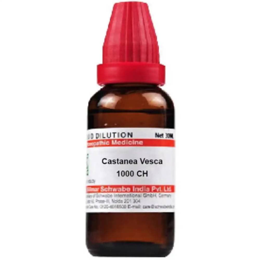 Dr. Willmar Schwabe India Castanea Vesca Dilution Dr. Willmar Schwabe India Castanea Vesca Dilution