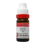 Dr. Reckeweg Mercurius Sublimate Dilution - Safuron Naturals