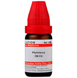 Dr. Willmar Schwabe India Phytolacca Dilution - Safuron Naturals