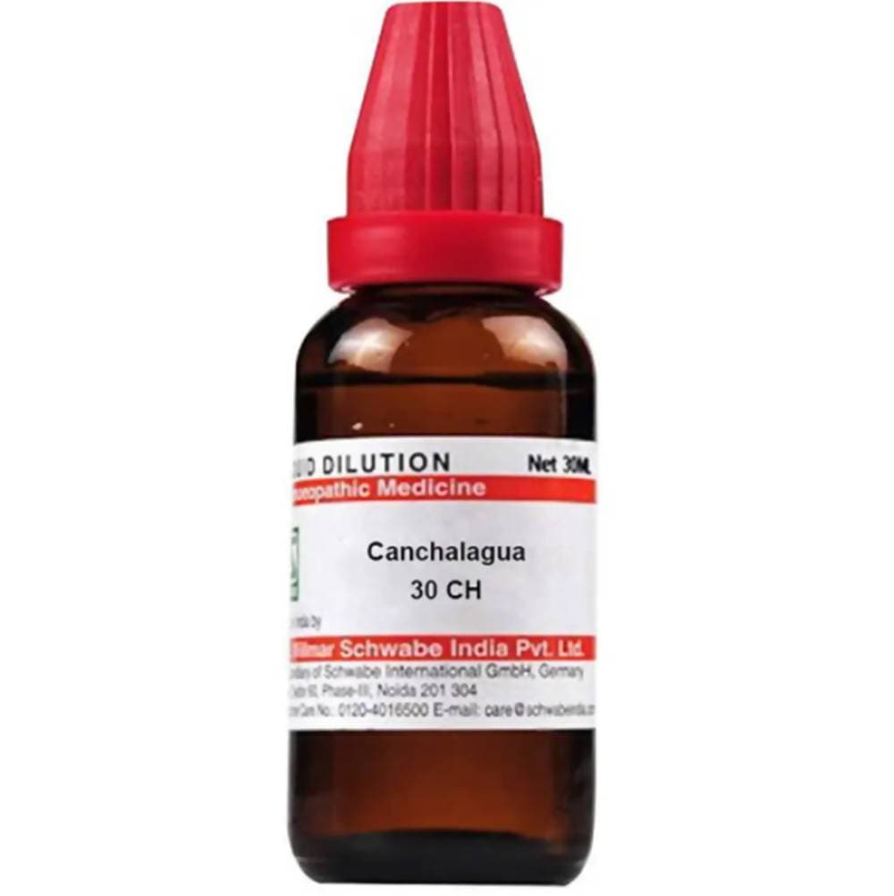Dr. Willmar Schwabe India Canchalagua Dilution Dr. Willmar Schwabe India Canchalagua Dilution