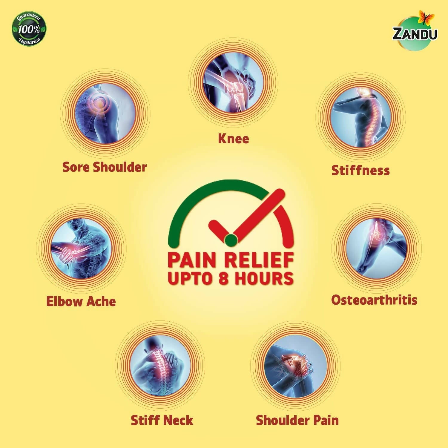 Zandu Ayurvedic Knee Pain Relief Patch Zandu Ayurvedic Knee Pain Relief Patch