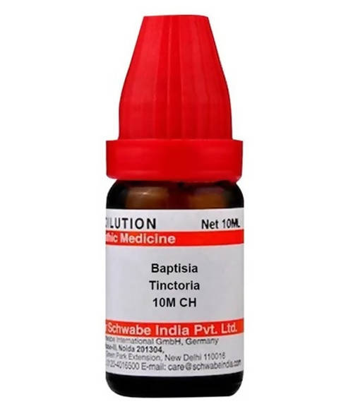Dr. Willmar Schwabe India Baptisia Tinctoria Dilution Dr. Willmar Schwabe India Baptisia Tinctoria Dilution