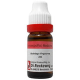 Dr. Reckeweg Solidago Virgaurea Dilution - Safuron Naturals