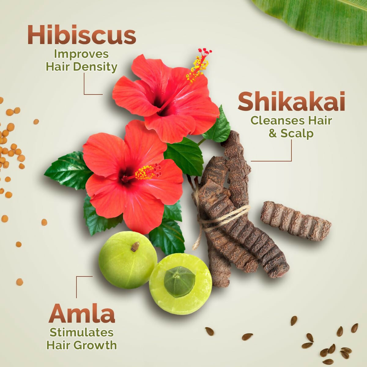 Mamaearth Kerala Thaali Cleansing Hair Mask with Power of 12 Herbs for Thick & Long Hair Mamaearth Kerala Thaali Cleansing Hair Mask with Power of 12 Herbs for Thick & Long Hair