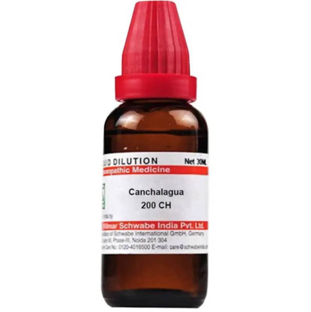 Dr. Willmar Schwabe India Canchalagua Dilution Dr. Willmar Schwabe India Canchalagua Dilution