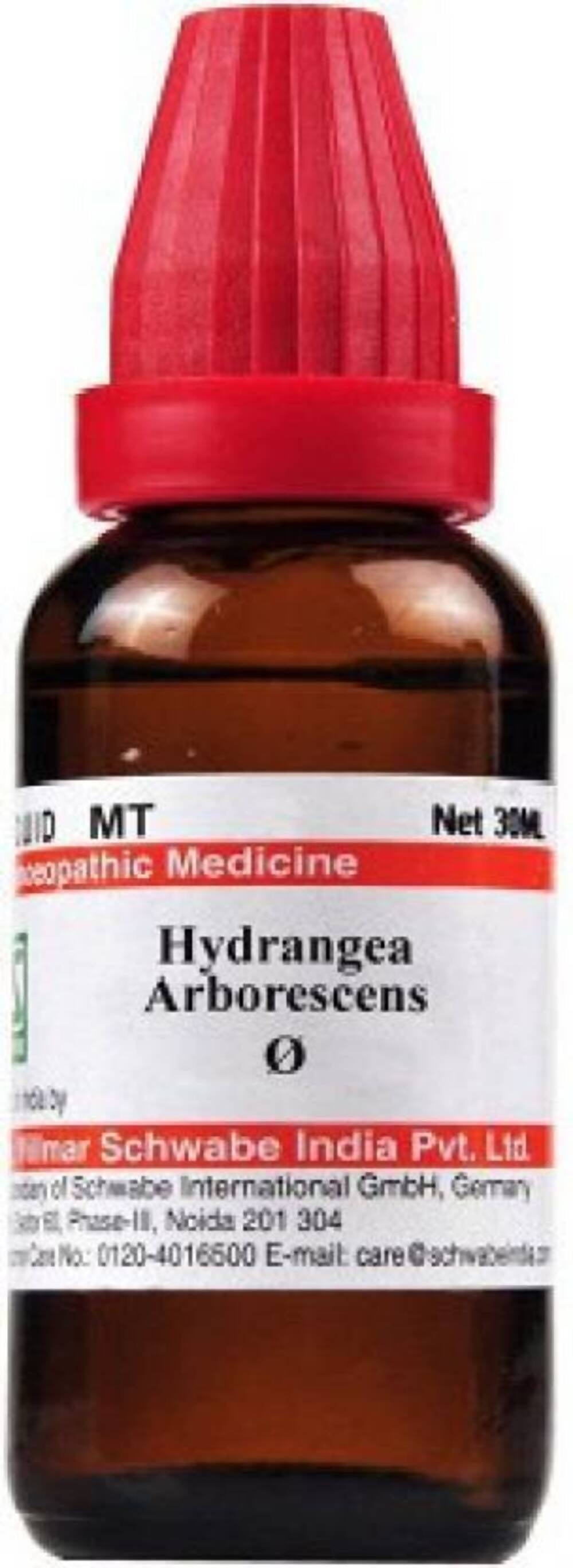 Dr. Willmar Schwabe India Hydrangea Arborescens Mother Tincture Q Dr. Willmar Schwabe India Hydrangea Arborescens Mother Tincture Q