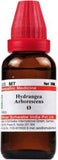 Dr. Willmar Schwabe India Hydrangea Arborescens Mother Tincture Q