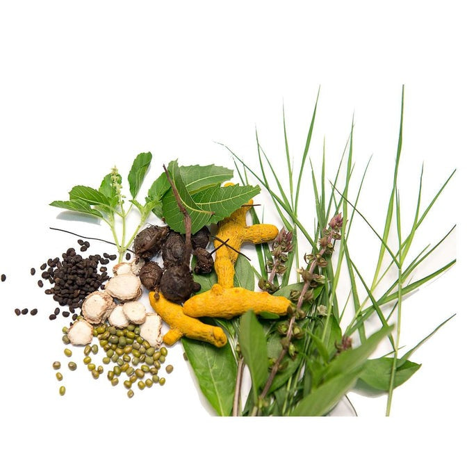 Isha Life Ojasvini Herbal Snanam Powder (Bath Powder) Isha Life Ojasvini Herbal Snanam Powder (Bath Powder)