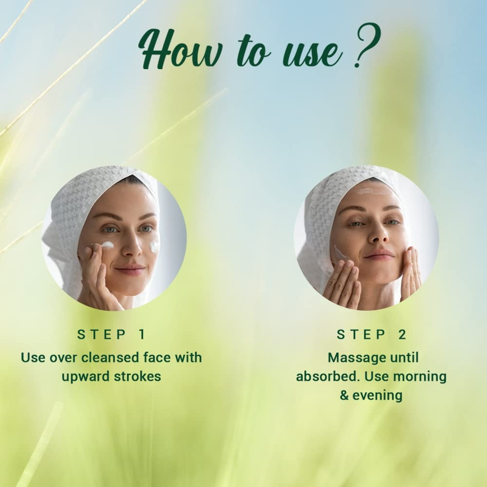 Biotique Advanced Ayurveda WheatGerm Anti-Ageing Night Cream Biotique Advanced Ayurveda WheatGerm Anti-Ageing Night Cream