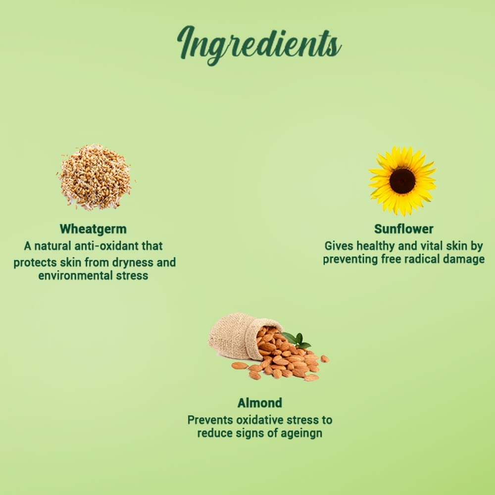 Biotique Advanced Ayurveda WheatGerm Anti-Ageing Night Cream Biotique Advanced Ayurveda WheatGerm Anti-Ageing Night Cream