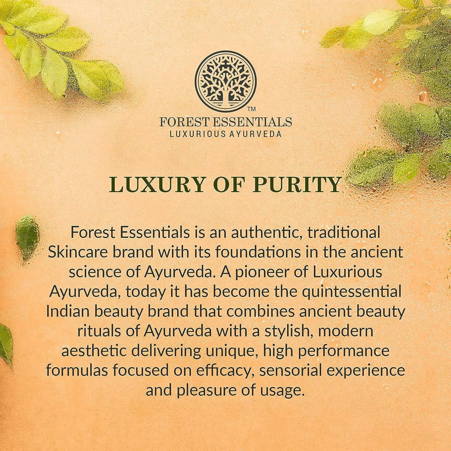 Forest Essentials Charcoal Black Gulaab Khaas Kajal Forest Essentials Charcoal Black Gulaab Khaas Kajal