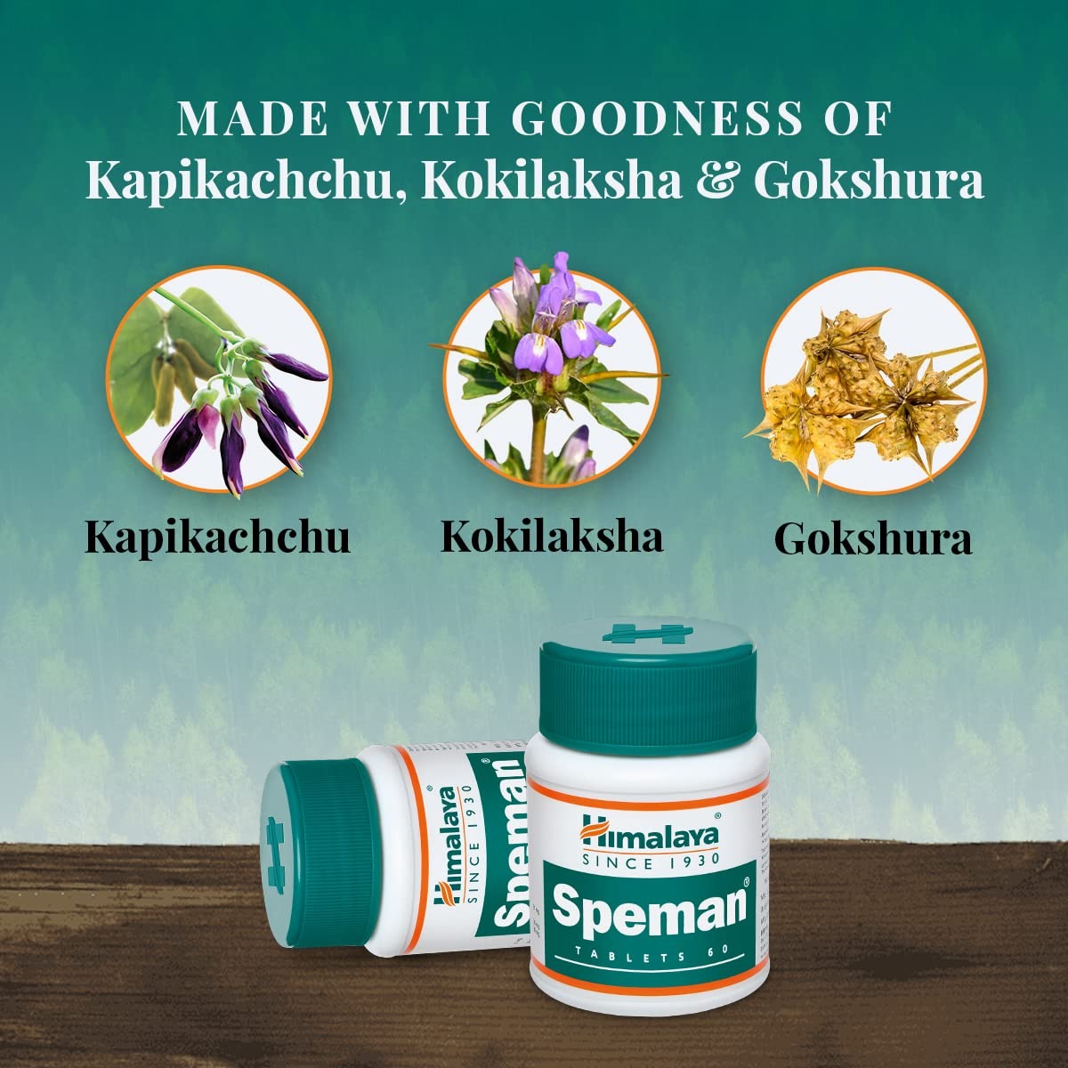 Himalaya Speman Tablets Himalaya Speman Tablets