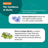 Himalaya Liv.52 Tablets - 100 Counts