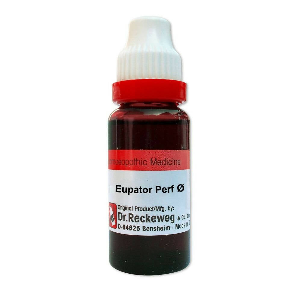 Dr. Reckeweg Eupatorium Perfoliatum Mother Tincture Q - Safuron Naturals