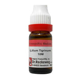 Dr. Reckeweg Lilium Tigrinum Dilution - Safuron Naturals