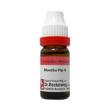 Dr. Reckeweg Mentha Pip Dilution - Safuron Naturals