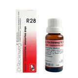 Dr. Reckeweg R28 Drops - Safuron Naturals