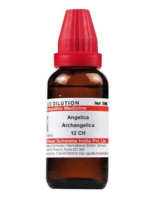 Dr. Willmar Schwabe India Angelica Archangelica Dilution Dr. Willmar Schwabe India Angelica Archangelica Dilution