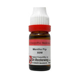 Dr. Reckeweg Mentha Pip Dilution - Safuron Naturals