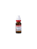 Dr. Reckeweg Ashwagandha Mother Tincture Q