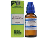 SBL Homeopathy Gnaphalium Polycephalum Dilution