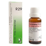 Dr. Reckeweg R29 Vertigo And Syncope Drop - Safuron Naturals
