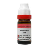 Dr. Reckeweg Mentha Pip Dilution - Safuron Naturals