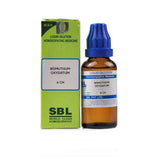 SBL Homeopathy Bismuthum Oxydatum Dilution