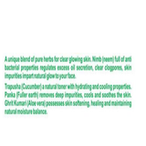 Patanjali Aloevera Neem Cucumber Face Pack 60Gm