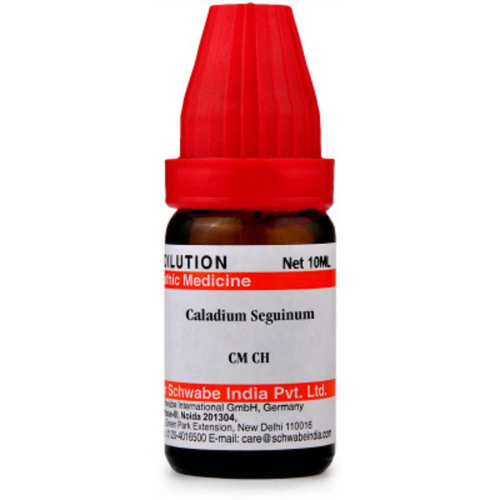 Dr. Willmar Schwabe India Caladium Seguinum Dilution - Safuron Naturals Dr. Willmar Schwabe India Caladium Seguinum Dilution - Safuron Naturals